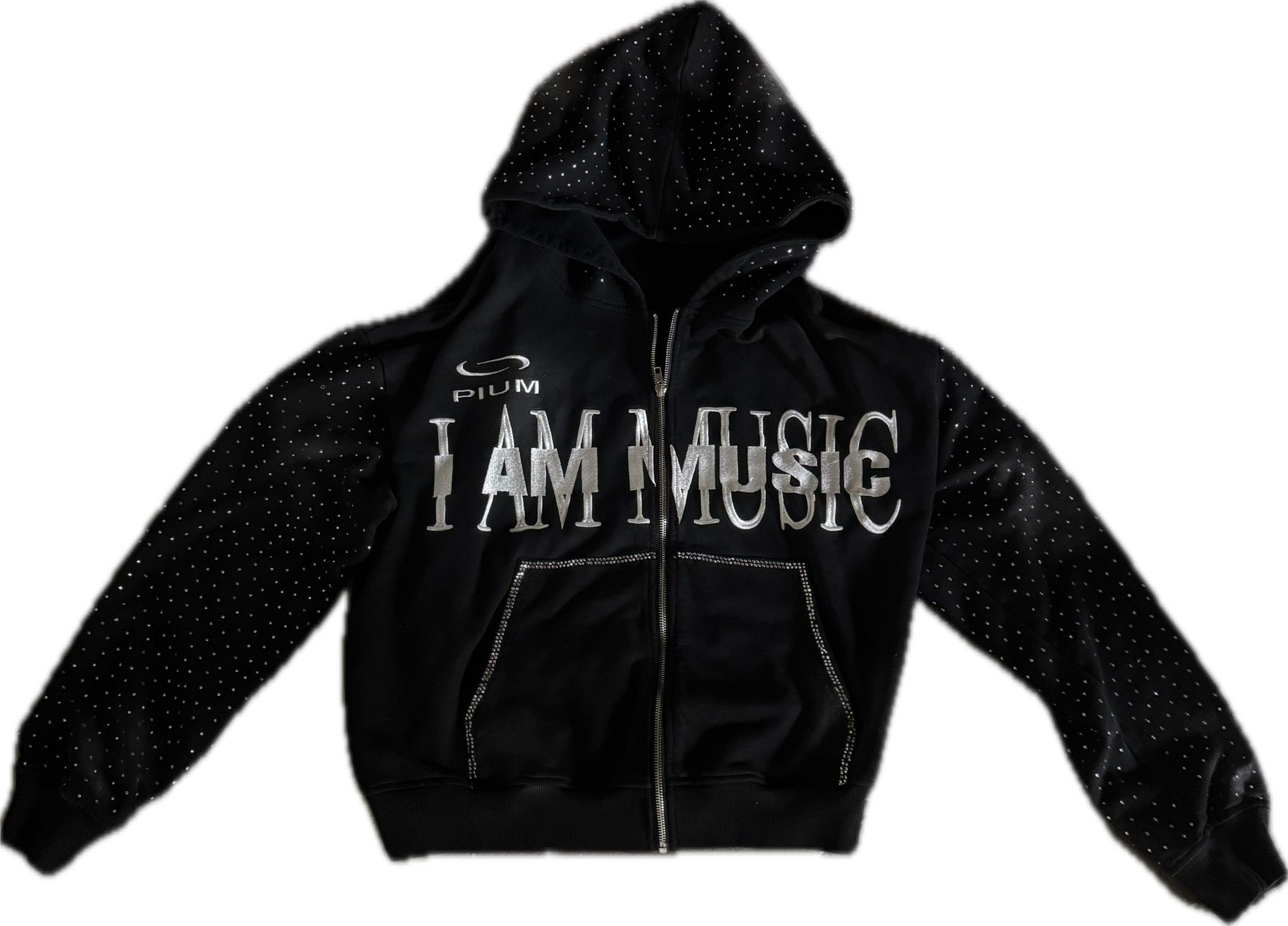 PBC "MUSIC" ZIP HOODIE